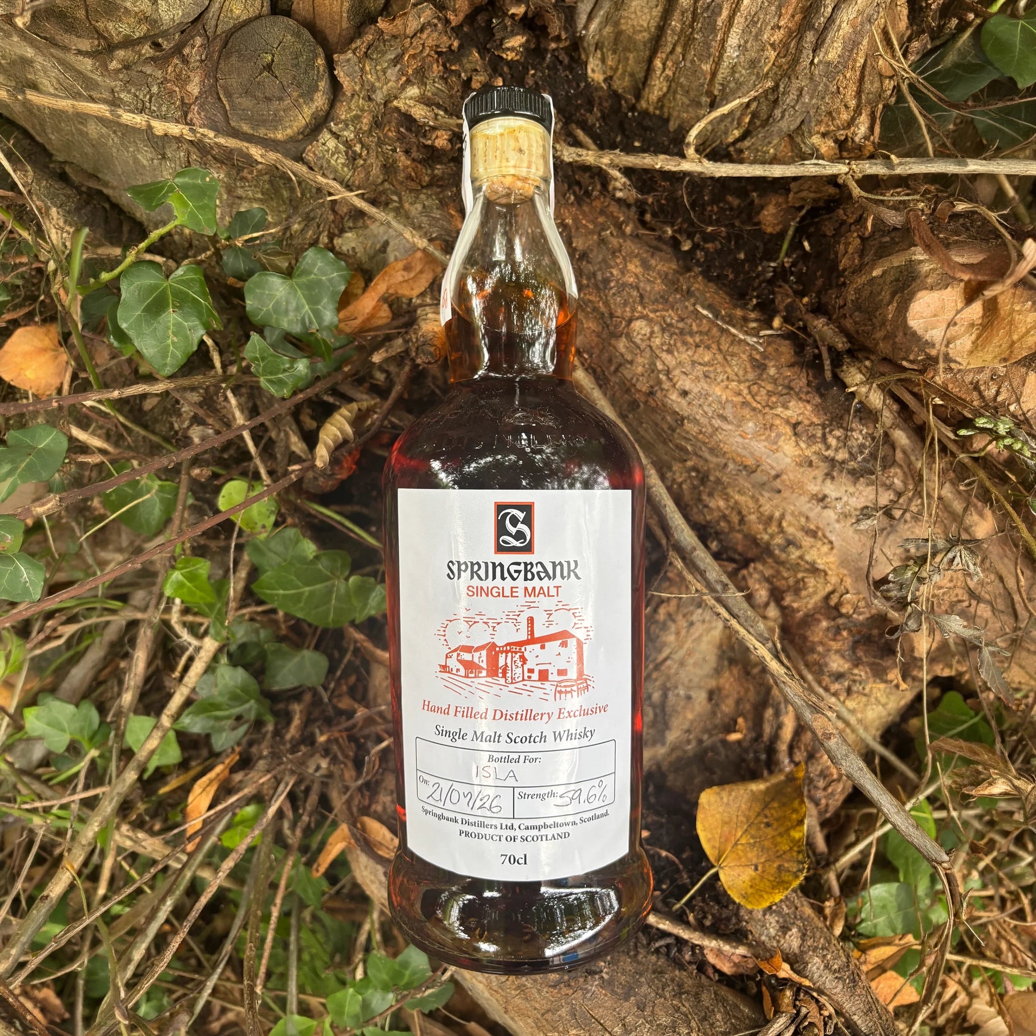 Springbank202659.6.webp?v=