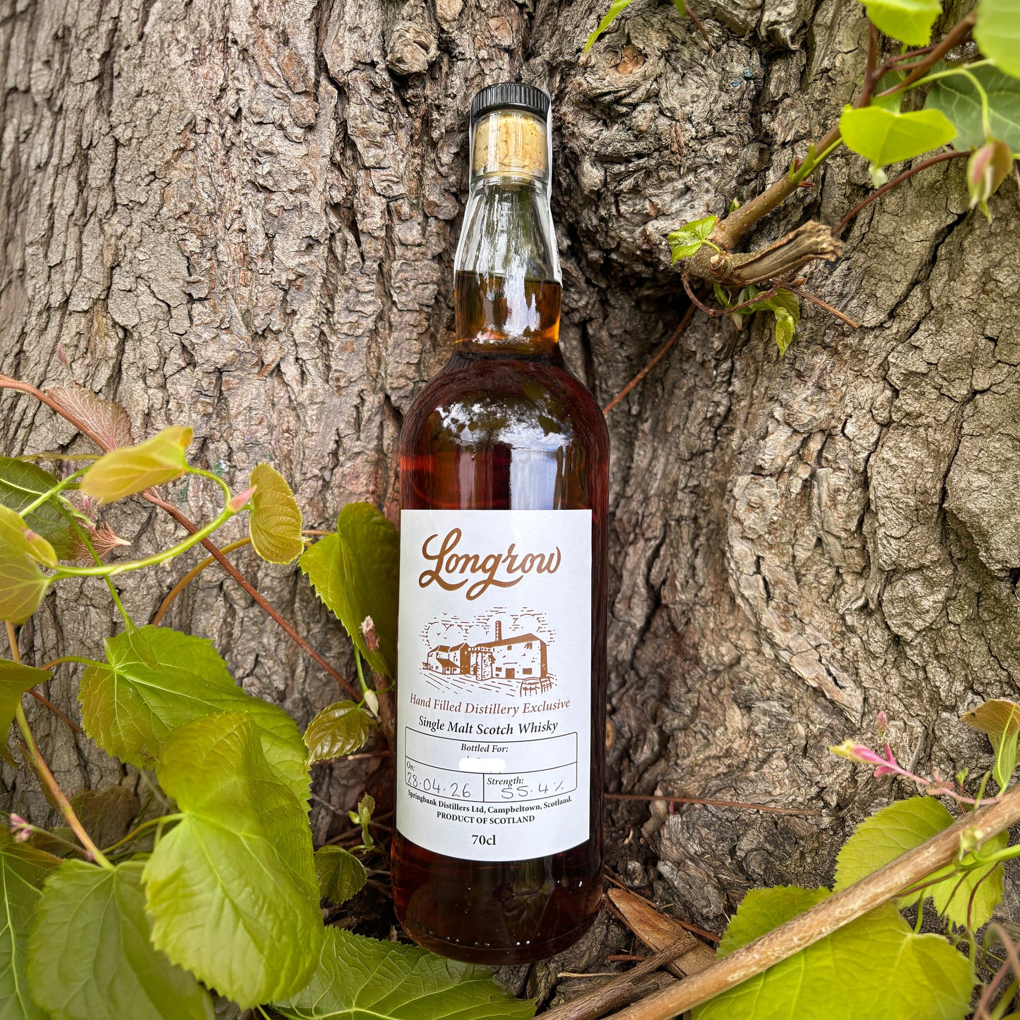Buy Longrow 2026 Hand Filled Distillery Exclusive Single Malt