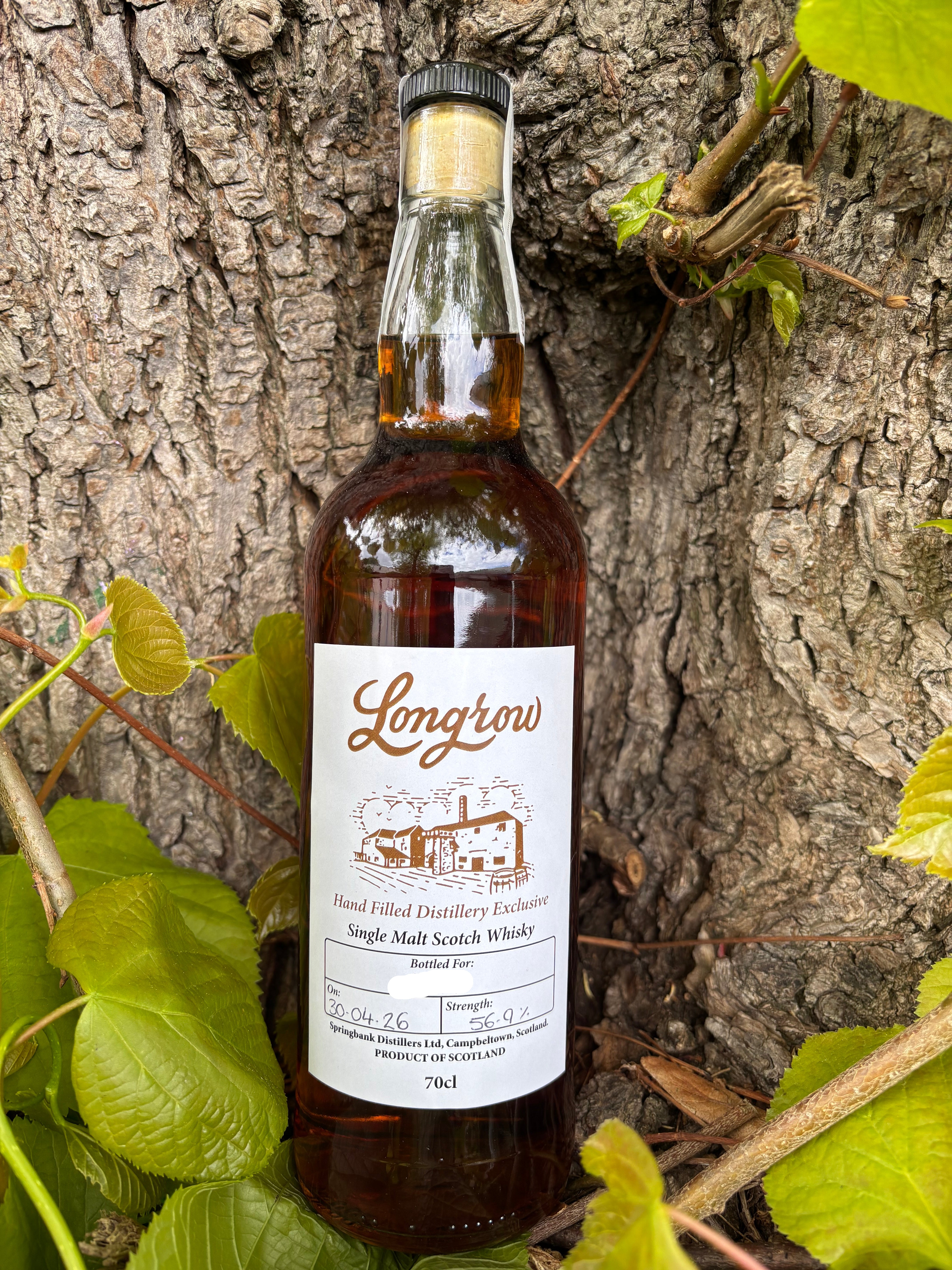 Buy Longrow 2026 Hand Filled Distillery Exclusive Single Malt