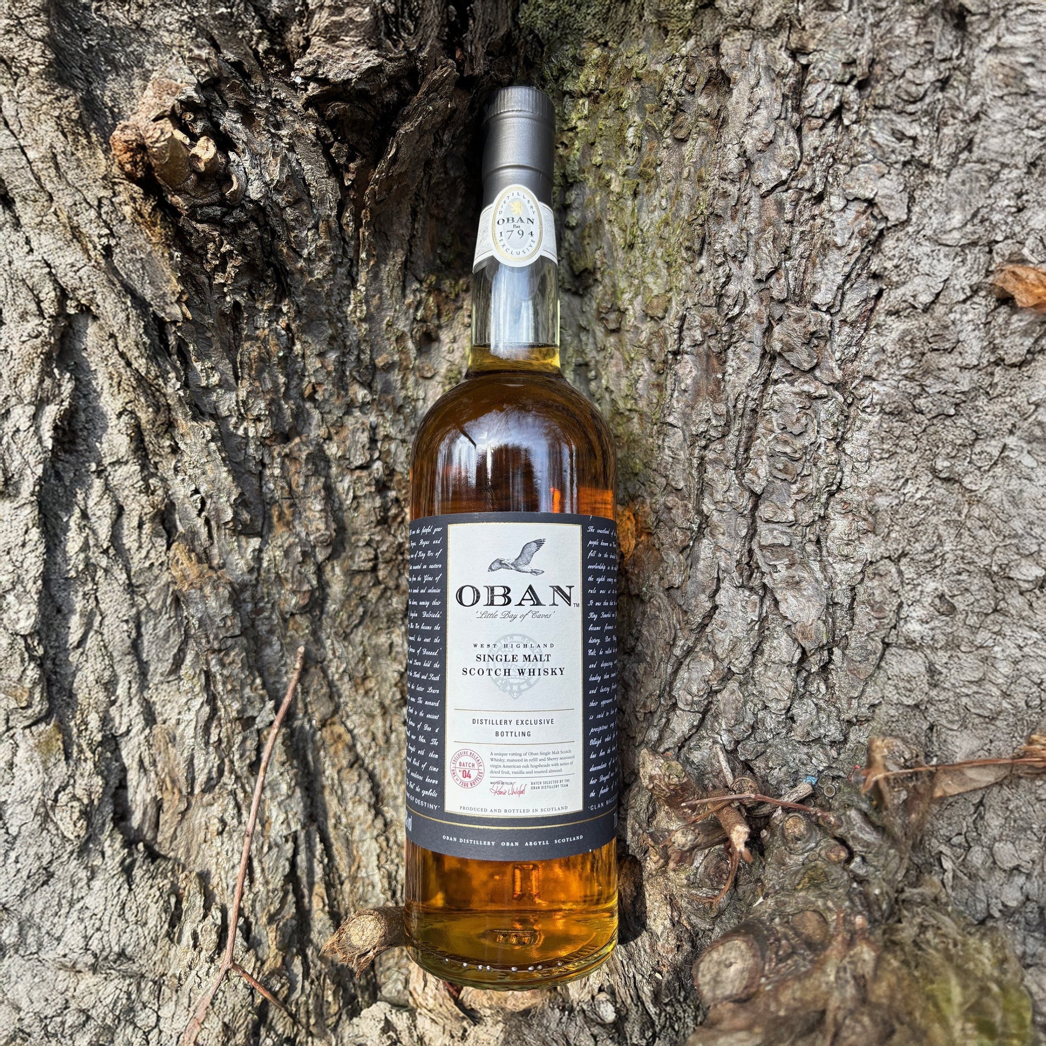 Buy Rare Single Malt Whisky | International Whisky Shop | WIO