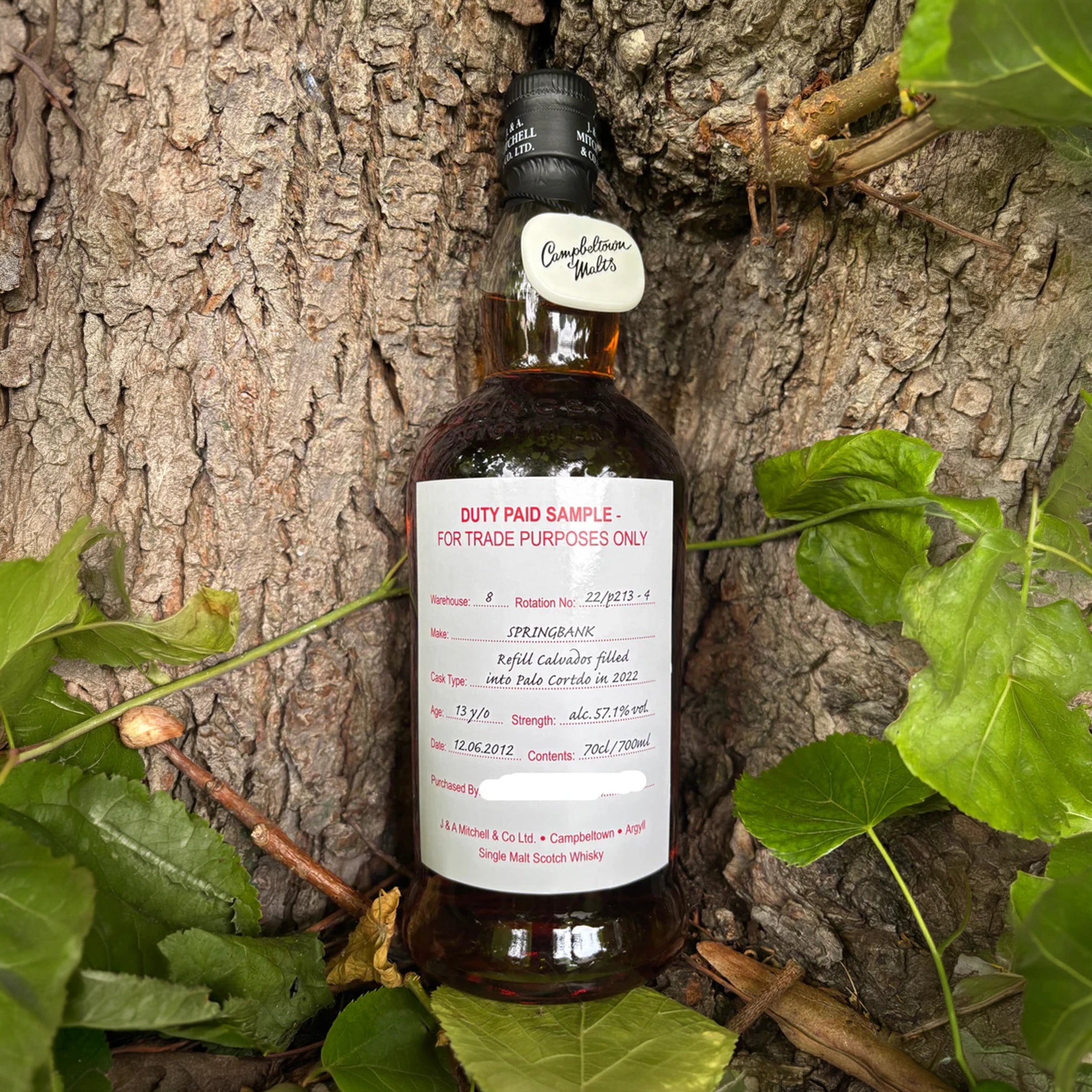 ☆未開栓△SPRINGBANK/スプリングバンク10年 旧ボトル 箱付 食品、飲料