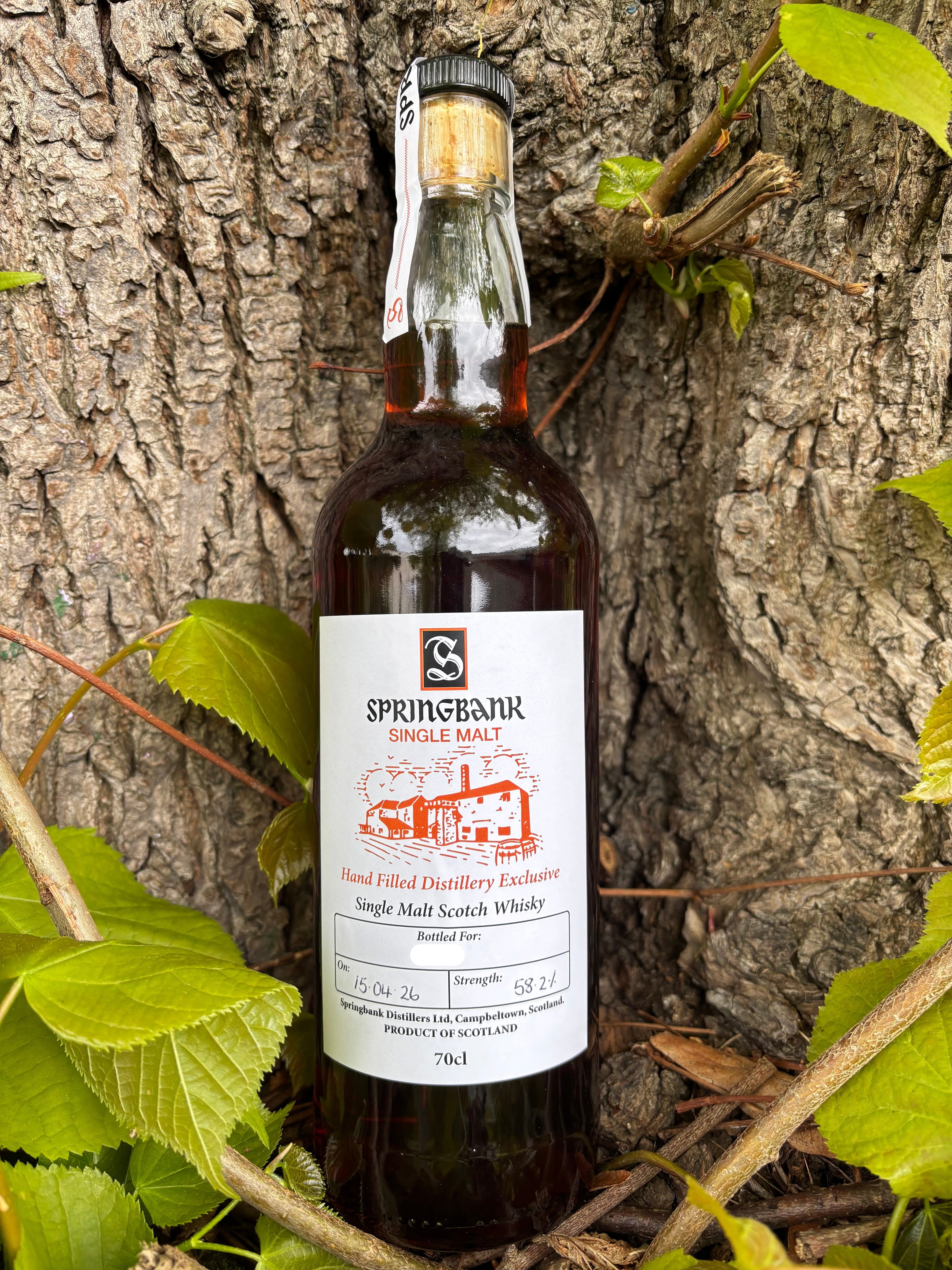 Buy Springbank 2026 Hand Filled Distillery Exclusive Single Malt