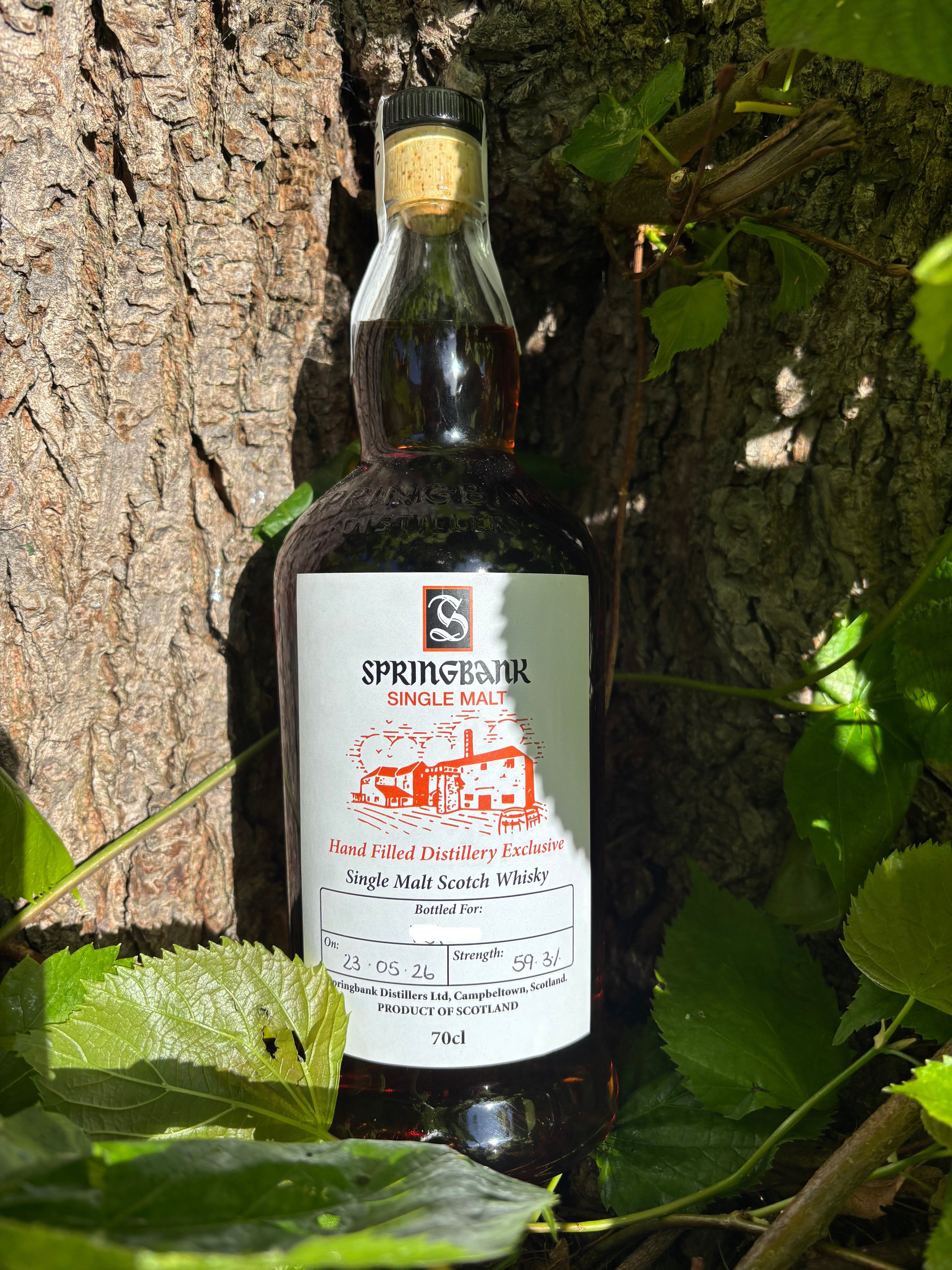 Buy Springbank 2026 Hand Filled Distillery Exclusive Whisky 59.3